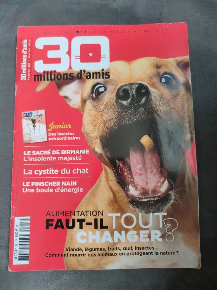 Magazine 30 millions d'amis numéro 381 février 2020