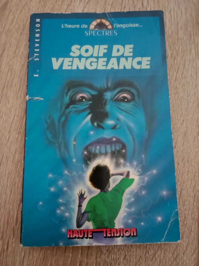 E. Stevenson 🔹 Soif de vengeance - photo numéro 1