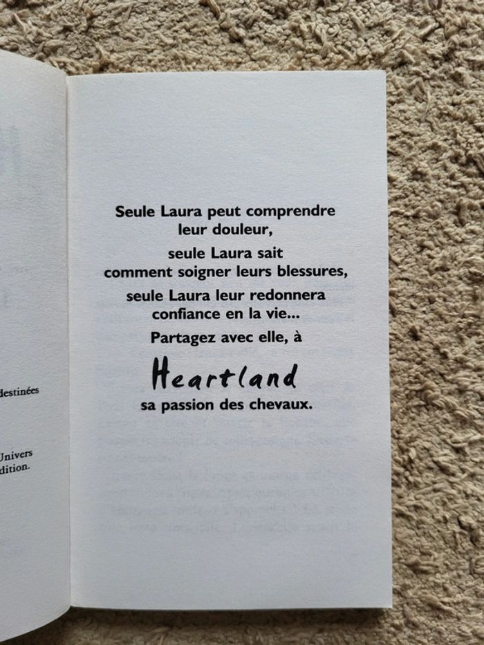 Roman jeunesse "Heartland, L'impossible retour" de Lauren Brooke - Série équestre - photo numéro 5