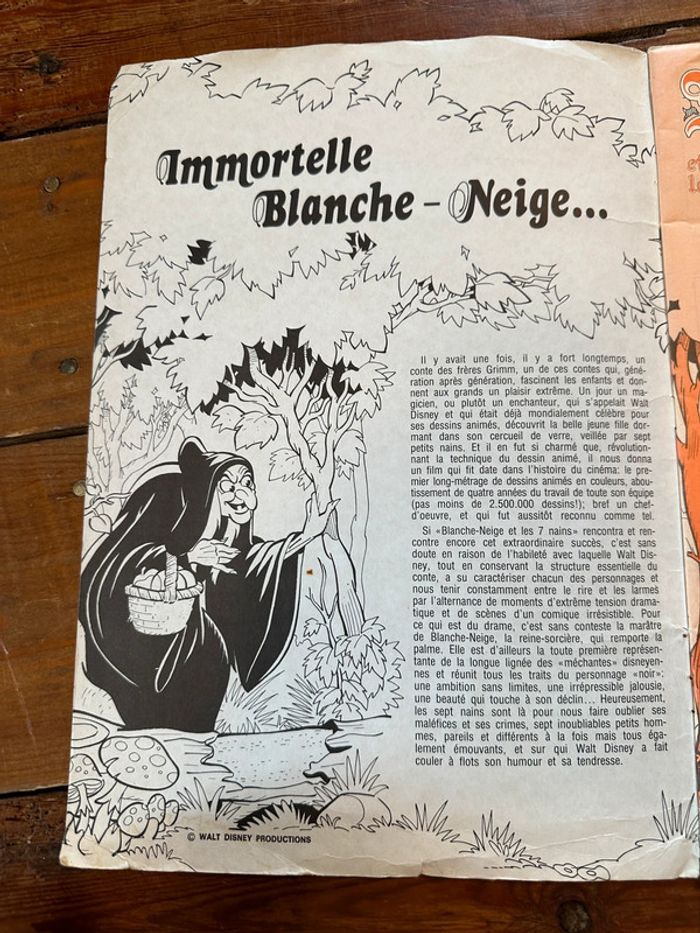 Grand album figurines Panini ancien vintage Disney Blanche Neige et les 7 nains - photo numéro 4
