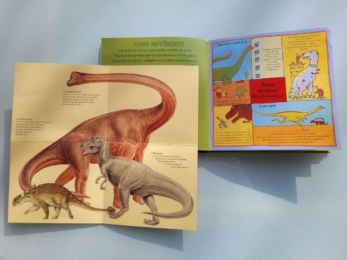 Livres animé à tirettes Kididoc : D'où ça vient ? Dauphins et Baleines et Les Dinosaures - photo numéro 6