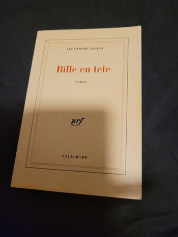 Bille en tête Alexandre Jardin
