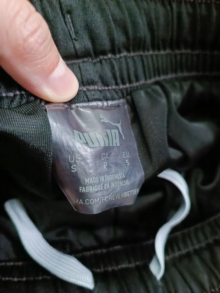 Short puma - photo numéro 2