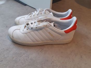 Adidas gazelle
