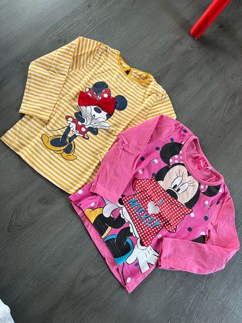 Lot 2 pulls fins Minnie