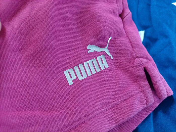 Short puma - photo numéro 2