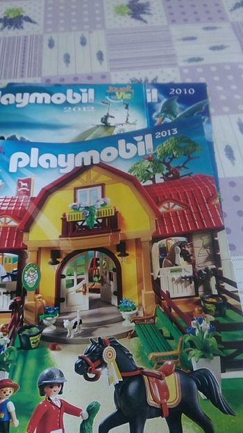 Livre playmobil
