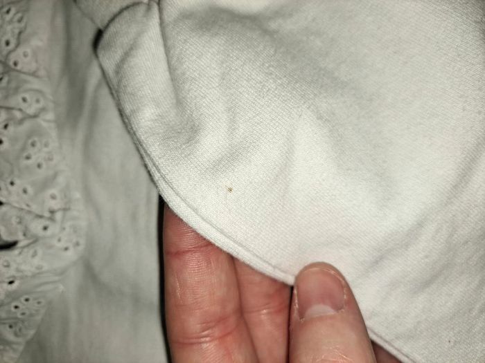 ensemble - photo numéro 2