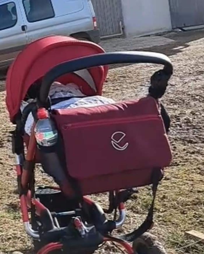 Jané rider - photo numéro 2