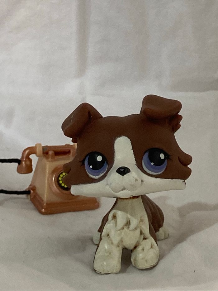 lps colley - photo numéro 5