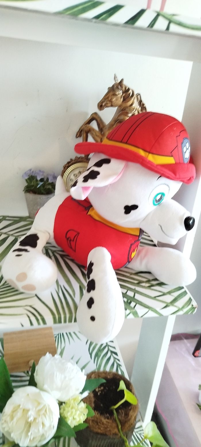 Peluche Disney paw patrol 🌿 - photo numéro 3