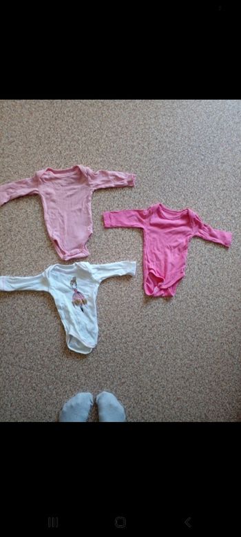 Lot 3 bodys
