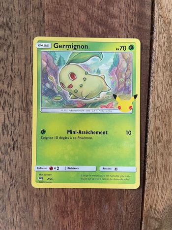 Carte Pokemon germignon