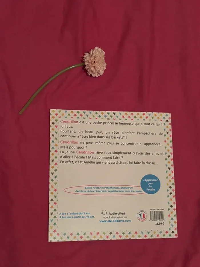 Cendrillon veut des baskets - photo numéro 2