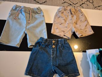 Lot 3 short