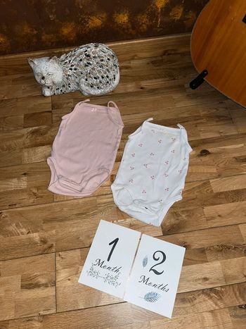 Lot de 2 bodys bretelles très bon état h&m 9-12mois/80cm