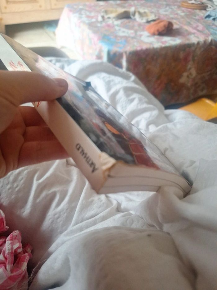 Livre le cap Horn en kayak - photo numéro 3