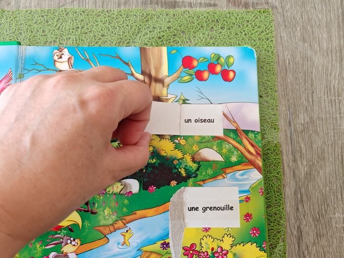 Lot de livres - photo numéro 7