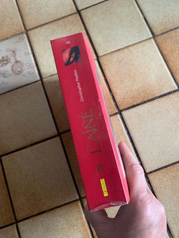 L aîné - photo numéro 3