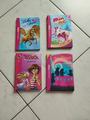 Livres divers Bibliothèque Rose