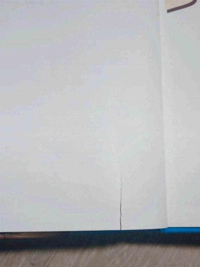 Livre BD Les Blondes Tome 1 - photo numéro 3