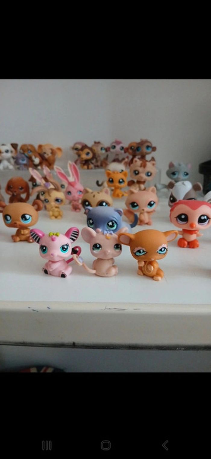 Littlest petshop - photo numéro 7