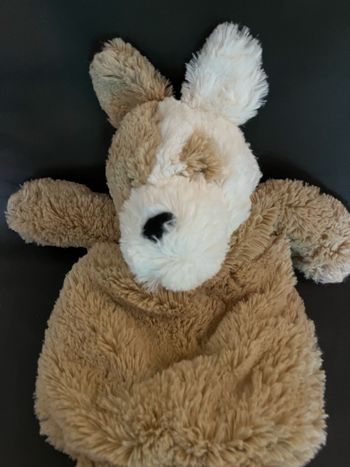 Doudou Étame chien range pyjama ou bouillotte 