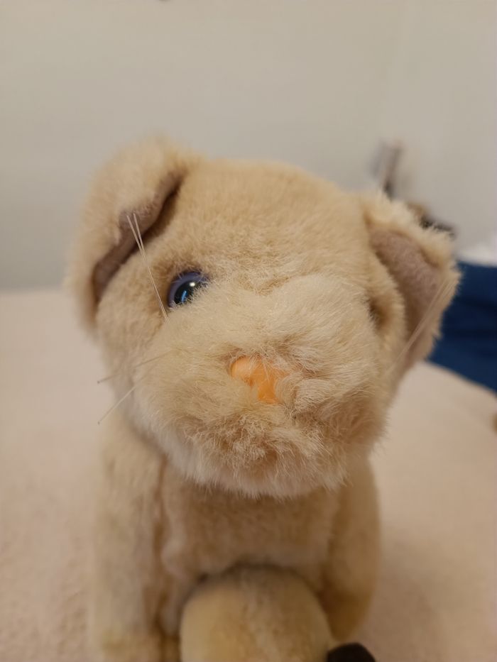 Peluche chat avec chaton - photo numéro 2
