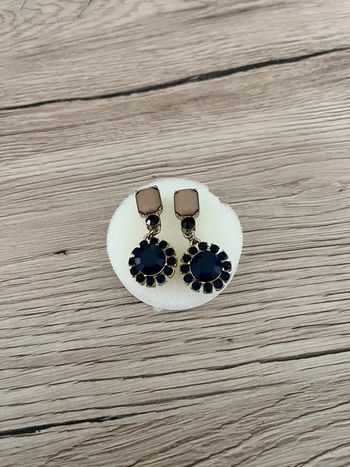 Boucles d’oreille pierres bleu marine et beige Zara