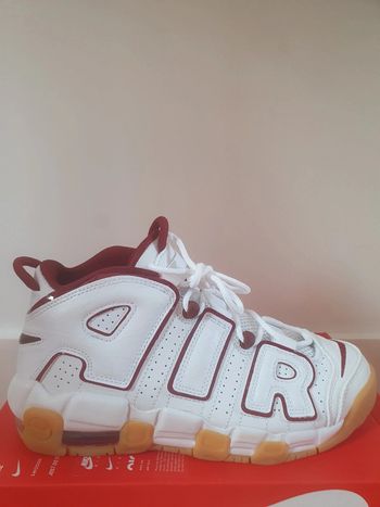 Nike Air Uptempo (36)