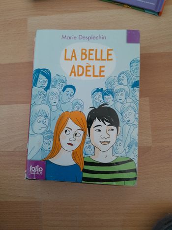 Livre la belle Adèle
