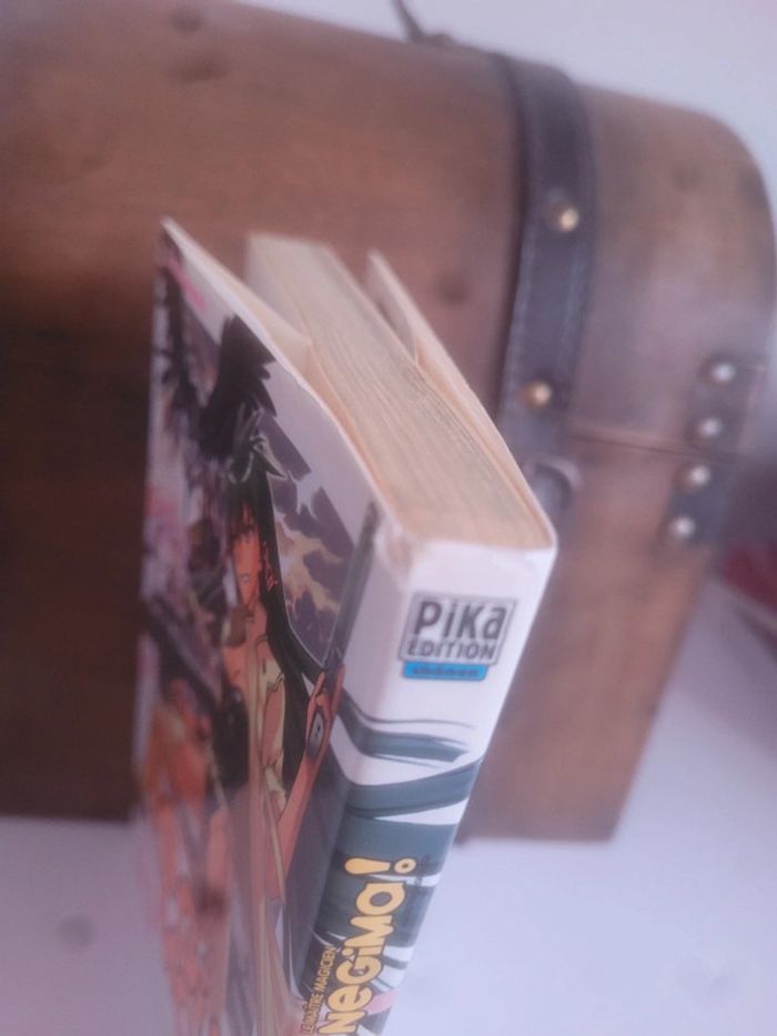 Manga Negima tome 33 - photo numéro 5