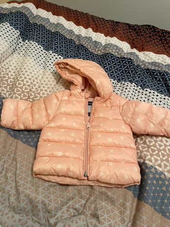 Veste en 6 mois