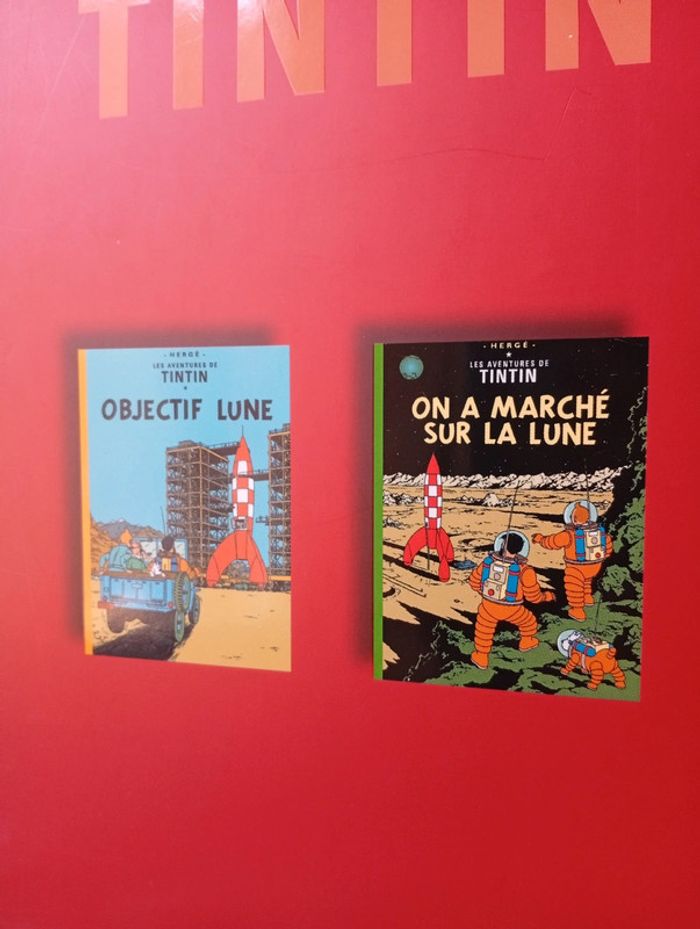 Double album Tintin France loisirs Deluxe édition Casterman - photo numéro 2