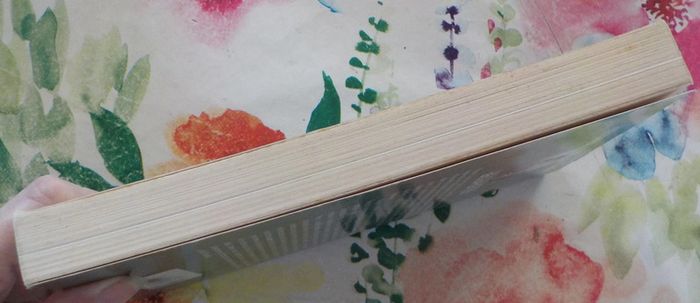 Otage de la mer par Yvan et Florence Bourgnon Ed. Michel Lafon - photo numéro 5