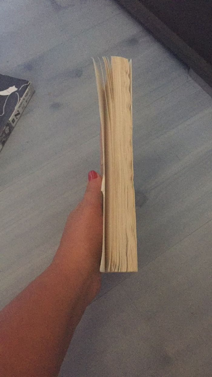 Livre Odysee (homere) - photo numéro 3