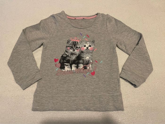 Sweat gris et rose avec chats - T. 6 ans