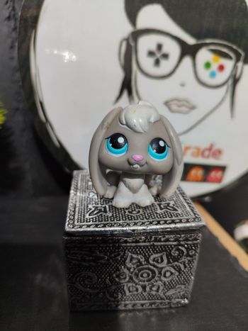 Lps907 My Littlest Petshop Pet Shop LPS  Bunny Rabbit Lop Ears Lapin Bélier 346