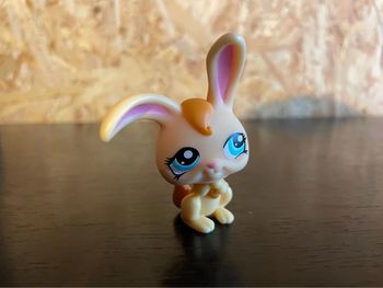 Idée cadeau 🎁 1 figurine Petshop LPS