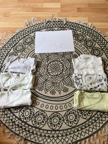 Lot 10 body manche longue