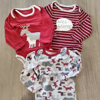 Lot de 3 bodies 9mois