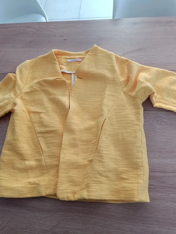 Veste jaune - photo numéro 3