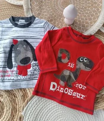 Lot Tee shirt manches longues bébé garçon taille 6 mois