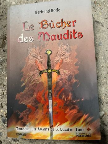 Livre le bûcher des maudits