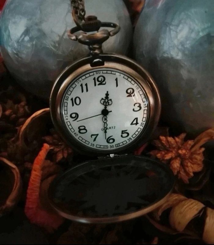 F99 montre à gousset rétro vintage originale bronze - photo numéro 3