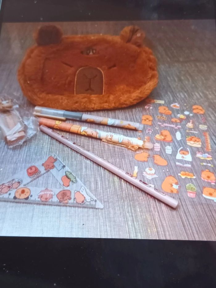 Trousse Capybara et ses accessoires - photo numéro 3