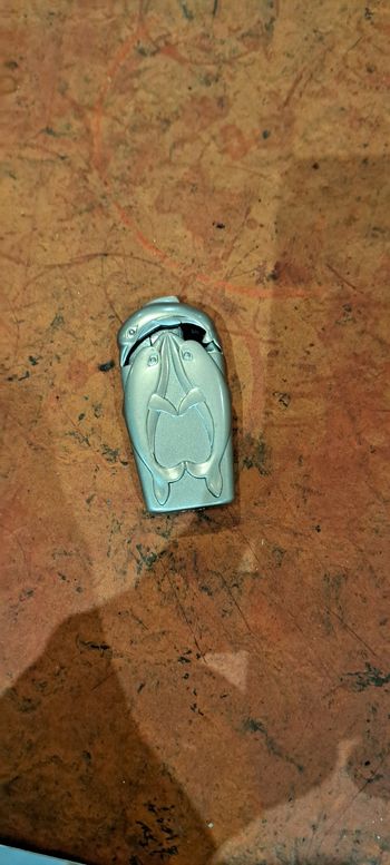Briquet dauphin décoration