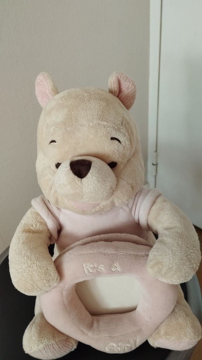 Winnie l'ourson de Disneyland - photo numéro 6