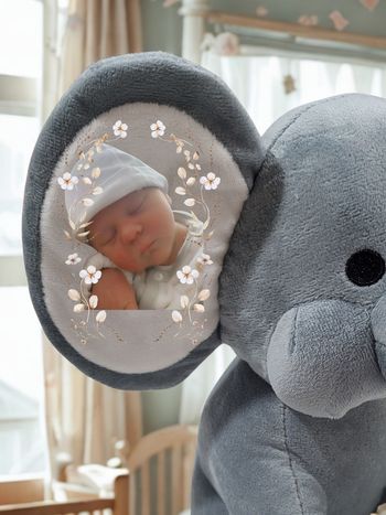 Peluche personnalisé 