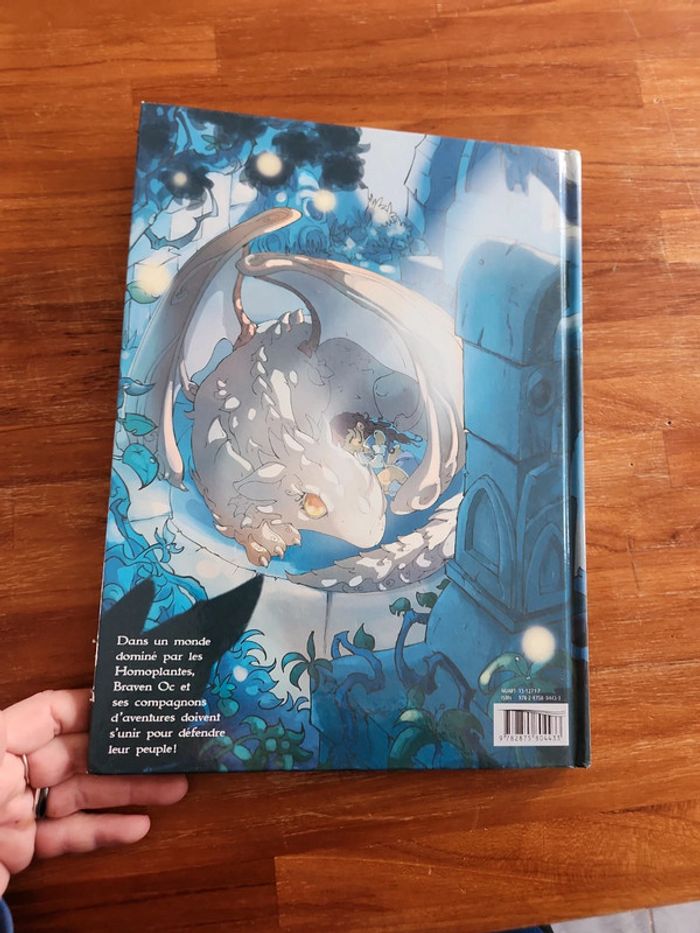 Bande dessinée : Les chroniques de Braven Oc - photo numéro 9